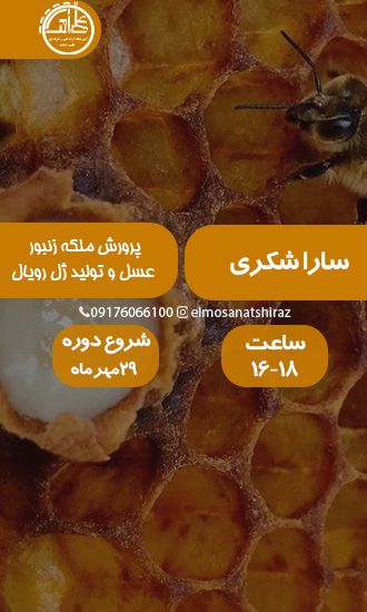 پرورش ملکه زنبور عسل و تولید ژل رویال 